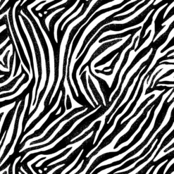 Best reviews of π Black & White Zebra Cotton Fabric Bundle by Loops & Threads™ β 9 Best reviews of π Black & White Zebra Cotton Fabric Bundle by Loops & Threads™ β -Loops and Threads Store 10631337 3